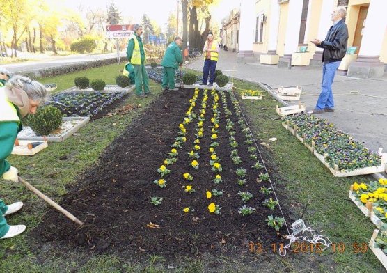 jesenja_sadnja_cvea_3_20151116_1191368596
